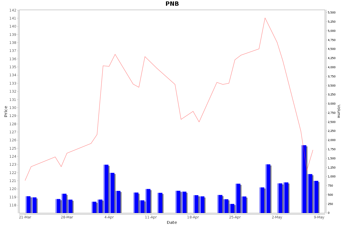 PNB Daily Price Chart NSE Today